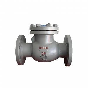 DN50 PN25 介質(zhì)：甲胺，溫度：80℃止回閥